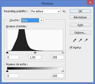 Niveaux couche bleue