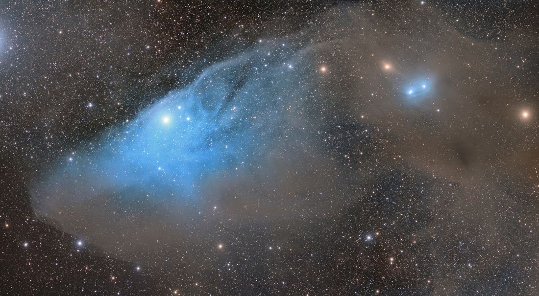 IC 4592, la tête de cheval bleue