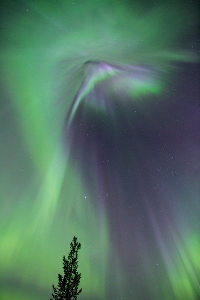 Coronal aurora