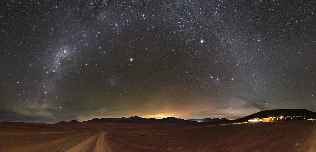 The Stars of the Siloli desert