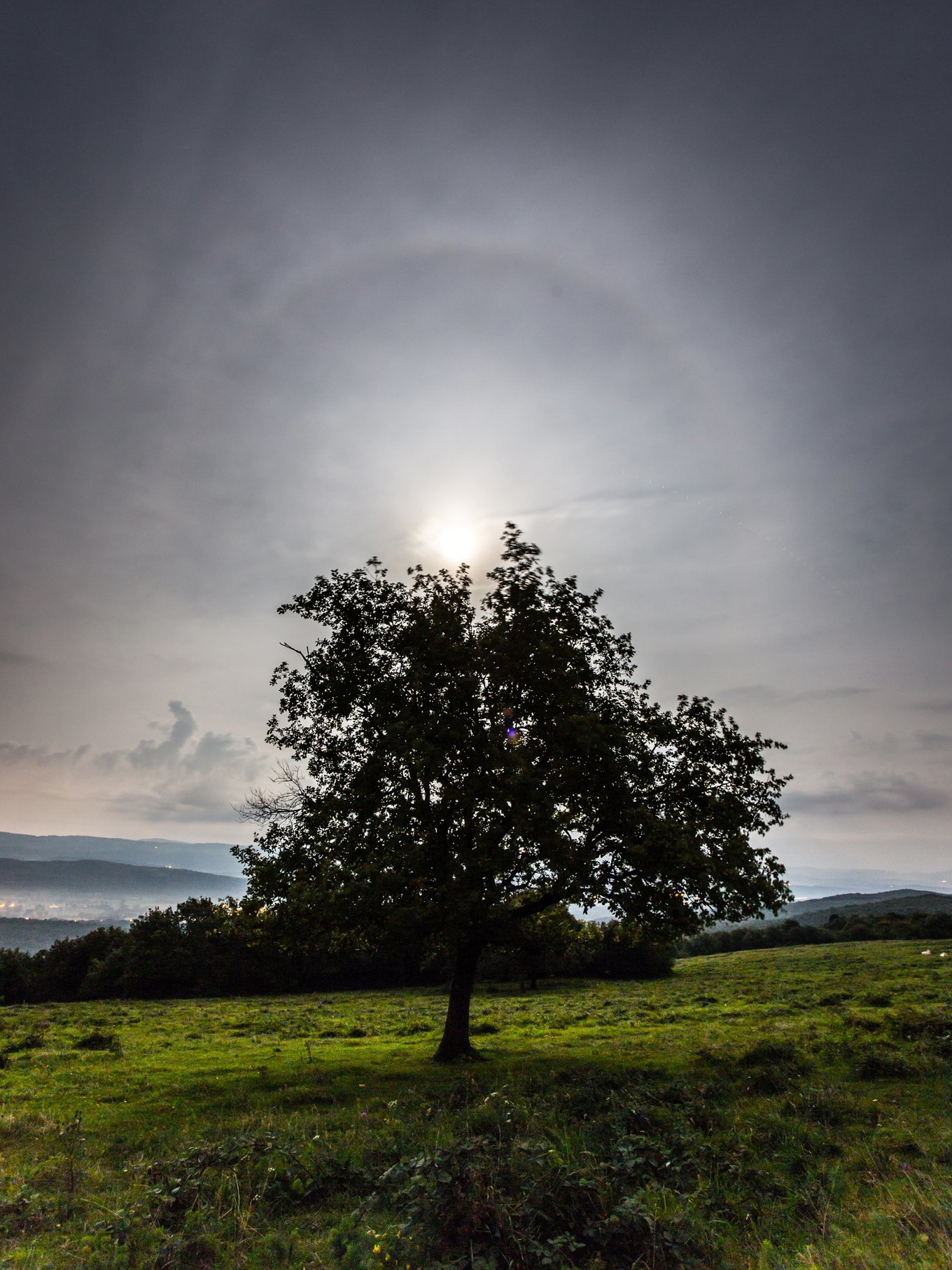 Lunar halo